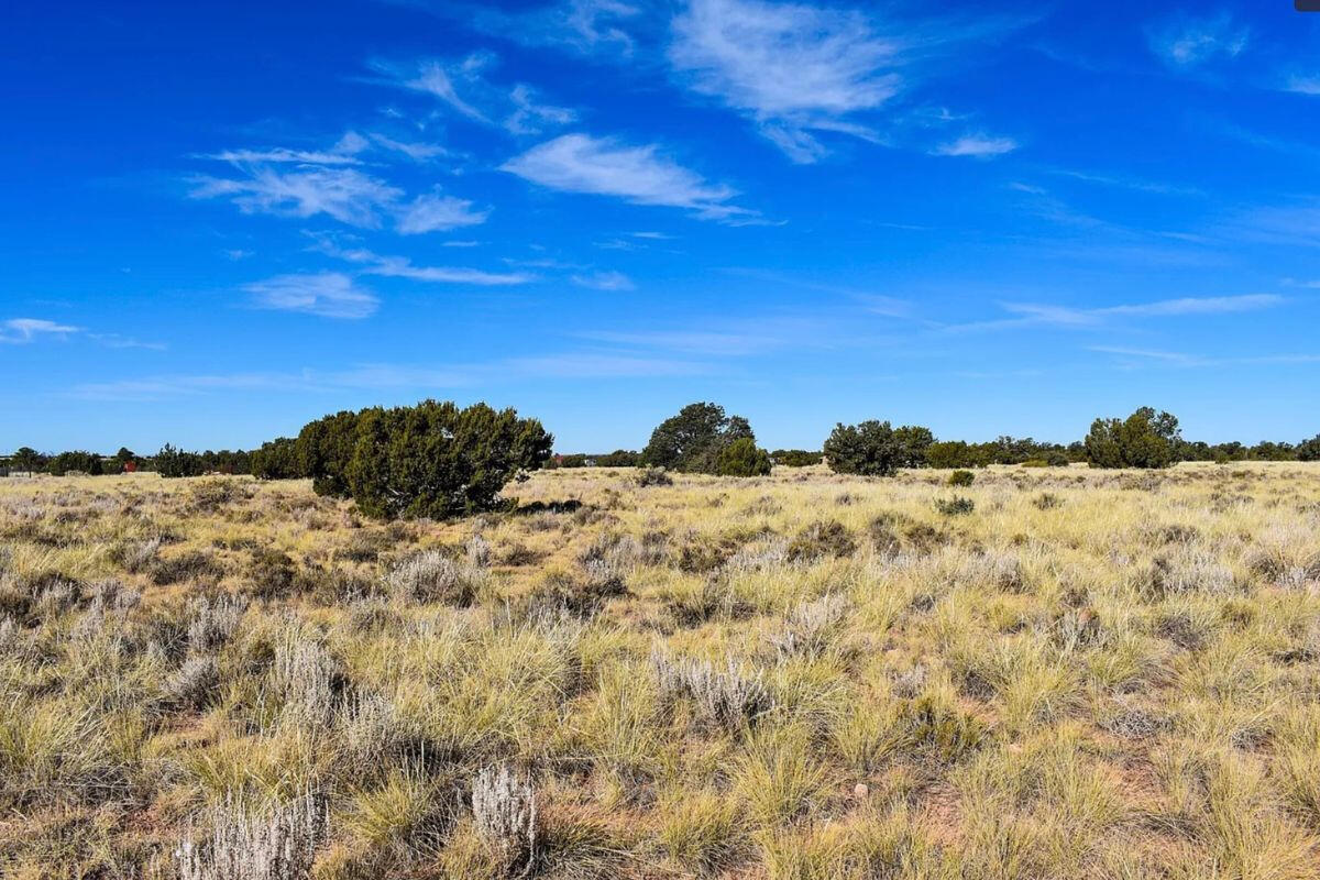 Smaller South - E Vassar Ave, Williams, AZ