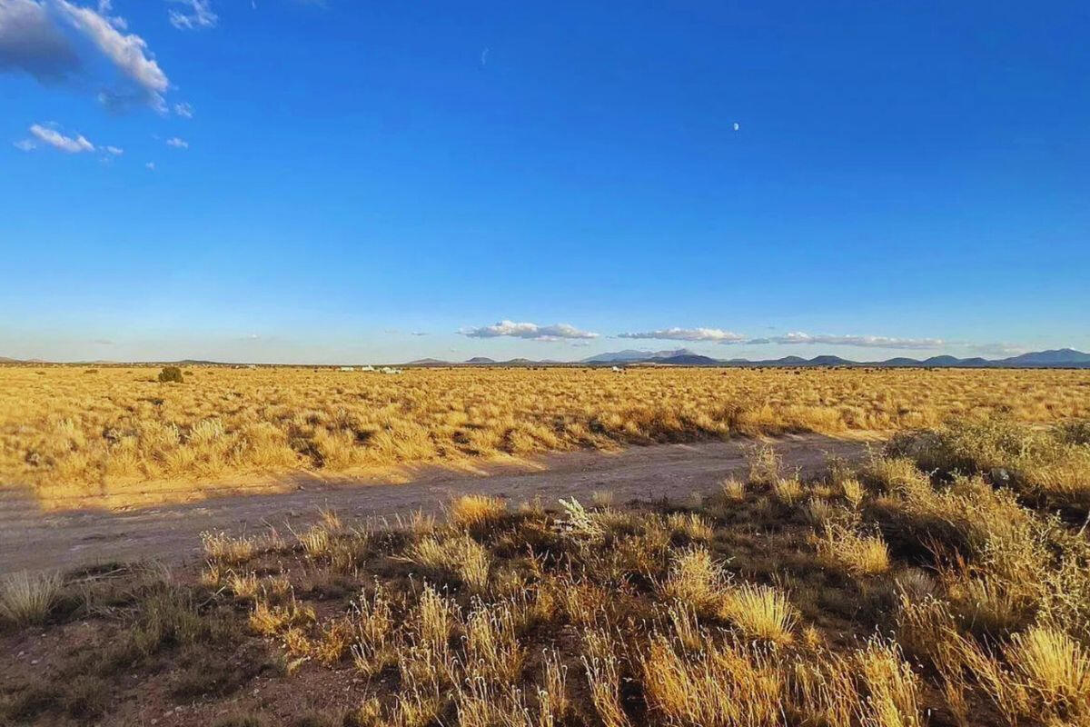 Smaller South - E Vassar Ave, Williams, AZ